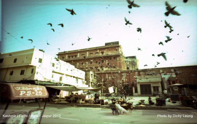 dcf-travel-img-49698