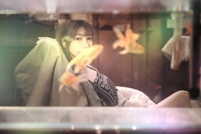 dcf-travel-img-52442