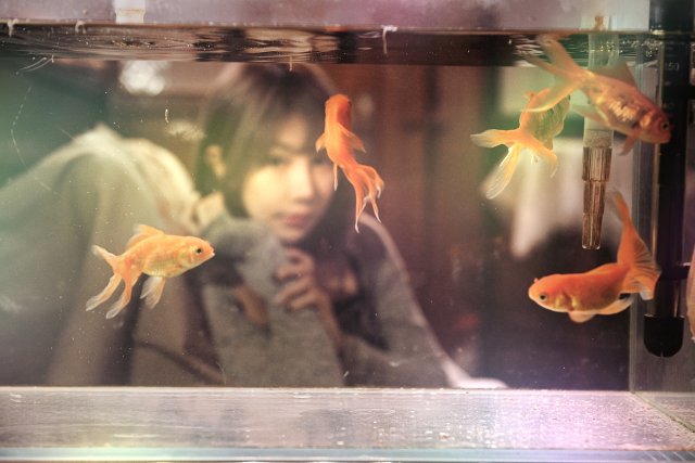 dcf-travel-img-52443