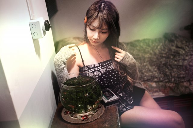 dcf-travel-img-52448