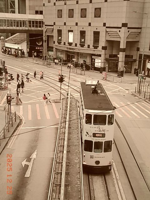 dcf-travel-img-52477