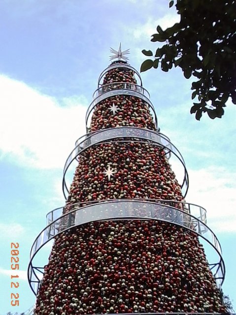 dcf-travel-img-52485