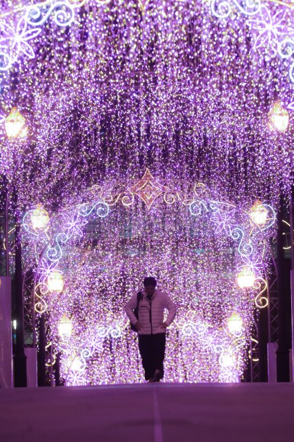 dcf-travel-img-52536