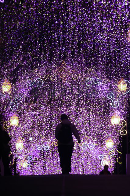 dcf-travel-img-52537