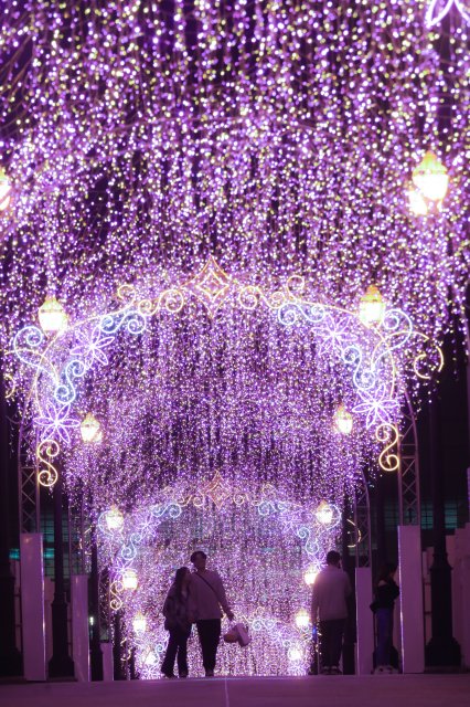 dcf-travel-img-52540