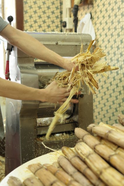 dcf-travel-img-52695