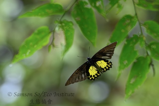 dcf-travel-img-52323