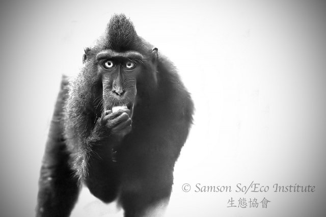 dcf-travel-img-52326