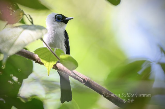 dcf-travel-img-52330