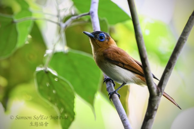 dcf-travel-img-52329