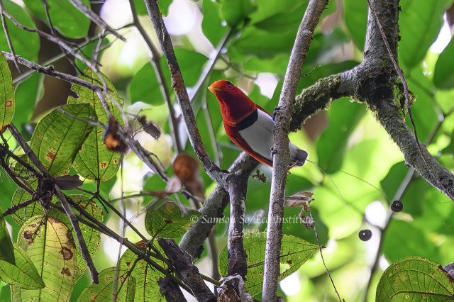 dcf-travel-img-52332