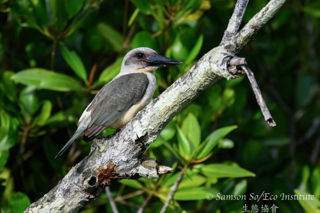 dcf-travel-img-52333