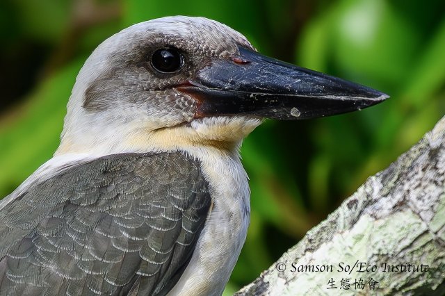 dcf-travel-img-52334