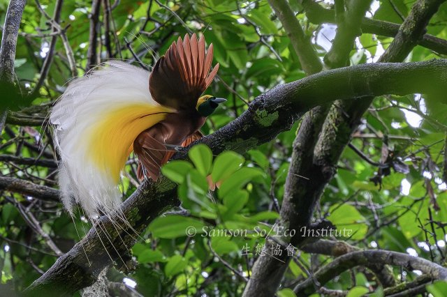 dcf-travel-img-52335