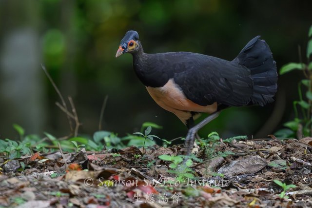 dcf-travel-img-52339