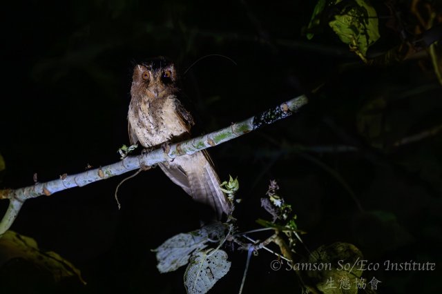 dcf-travel-img-52341