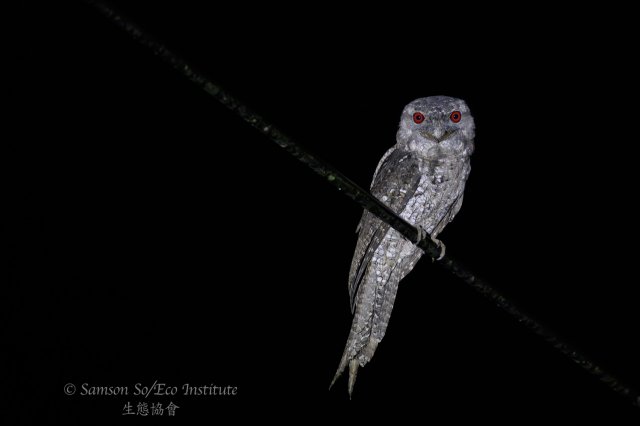 dcf-travel-img-52340