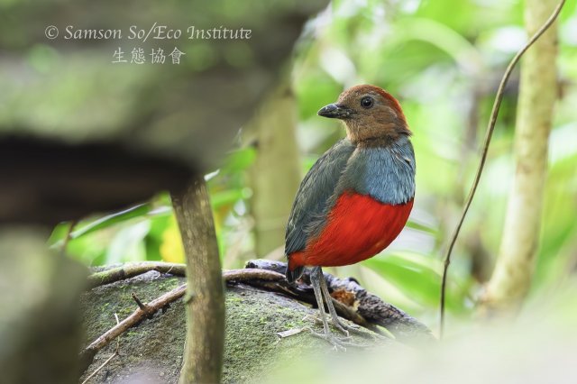 dcf-travel-img-52345