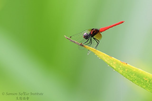 dcf-travel-img-52343