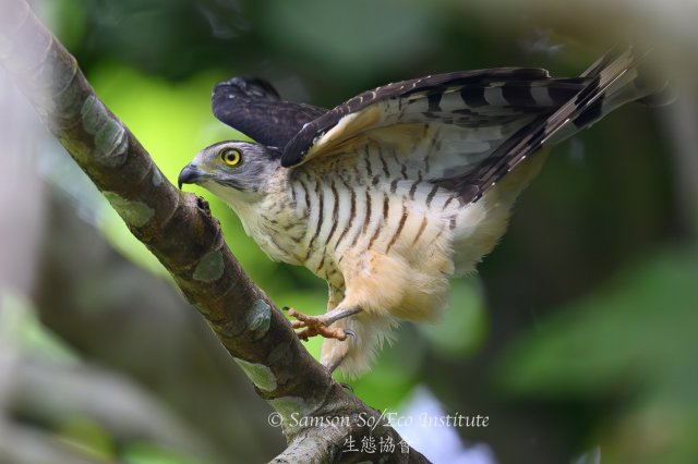 dcf-travel-img-52346