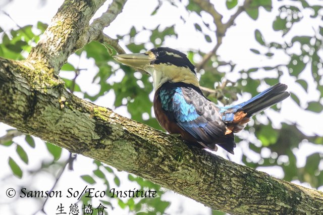 dcf-travel-img-52349