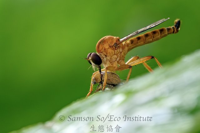 dcf-travel-img-52348