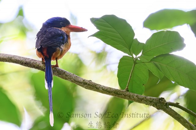 dcf-travel-img-52347