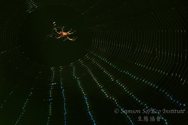 dcf-travel-img-52352