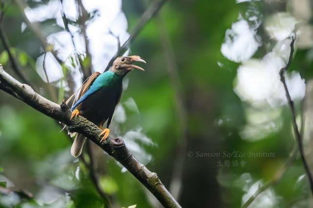 dcf-travel-img-52357