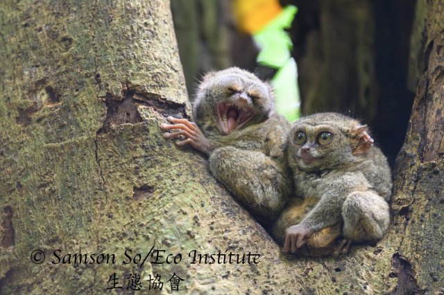 dcf-travel-img-52355