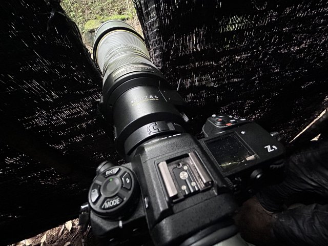 dcf-travel-img-52360