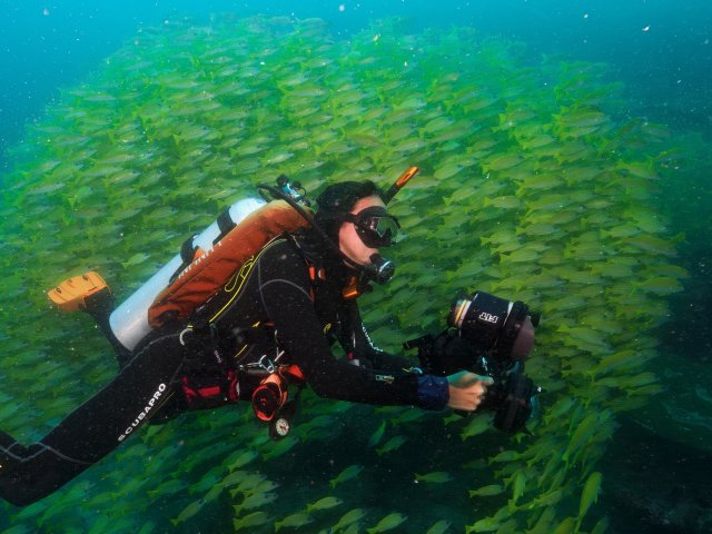 dcf-travel-img-52575