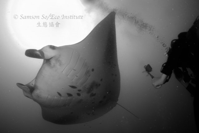 dcf-travel-img-52576