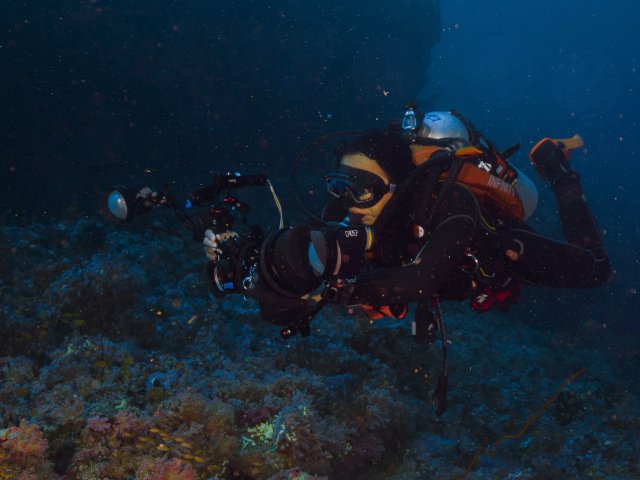 dcf-travel-img-52577