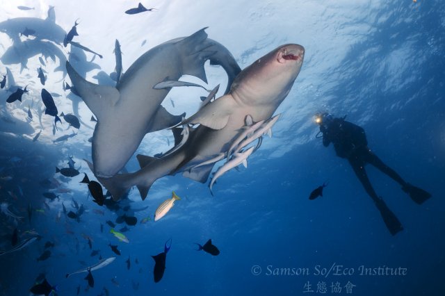 dcf-travel-img-52578