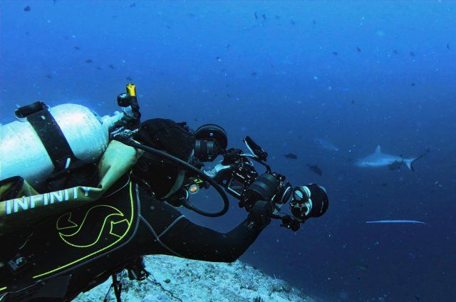 dcf-travel-img-52579