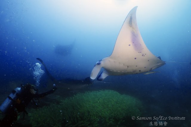 dcf-travel-img-52581