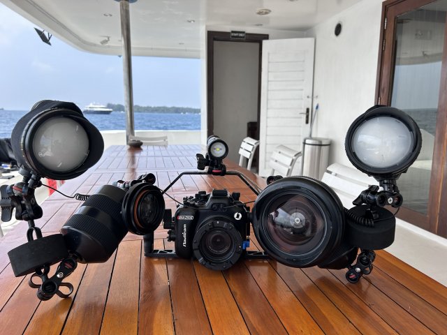 dcf-travel-img-52582