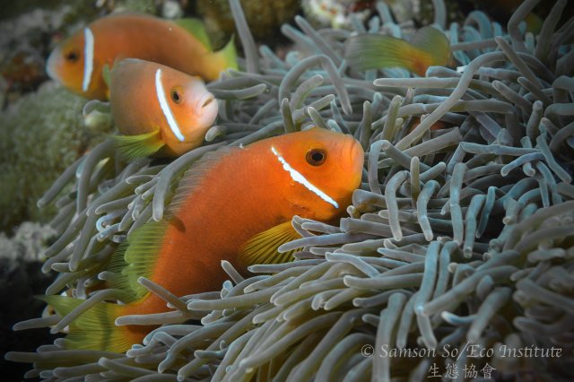 dcf-travel-img-52583