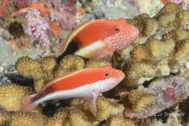 dcf-travel-img-52586