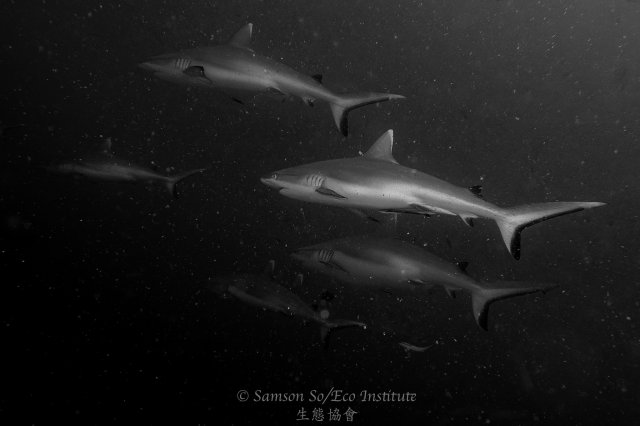 dcf-travel-img-52590