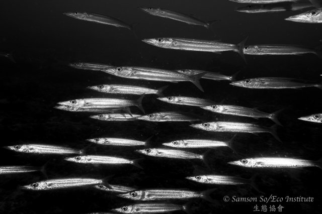 dcf-travel-img-52591