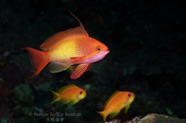 dcf-travel-img-52592