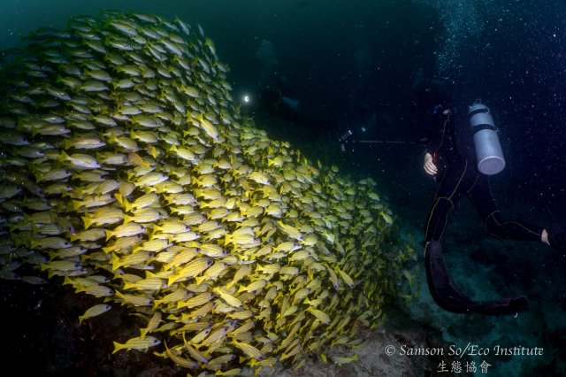 dcf-travel-img-52593