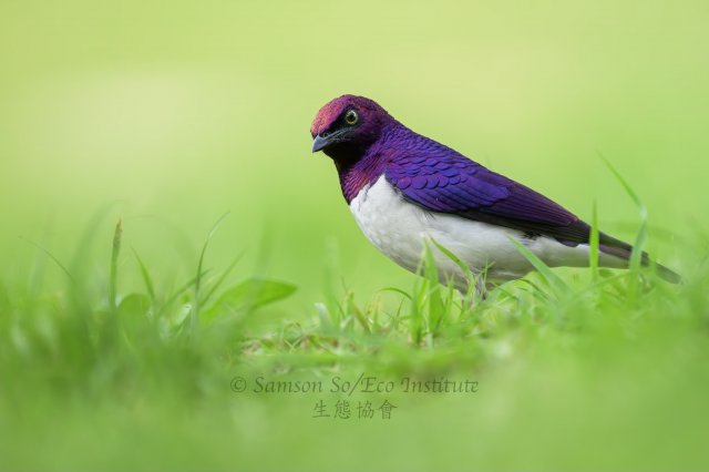 dcf-travel-img-52696