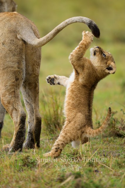 dcf-travel-img-52697