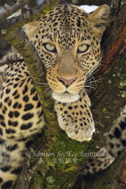 dcf-travel-img-52699