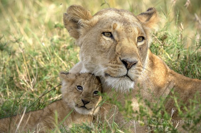 dcf-travel-img-52701