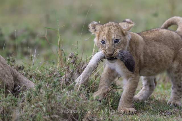 dcf-travel-img-52702