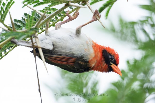 dcf-travel-img-52703